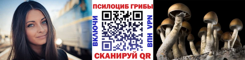 Галлюциногенные грибы Cubensis  купить закладку  Горячий Ключ 